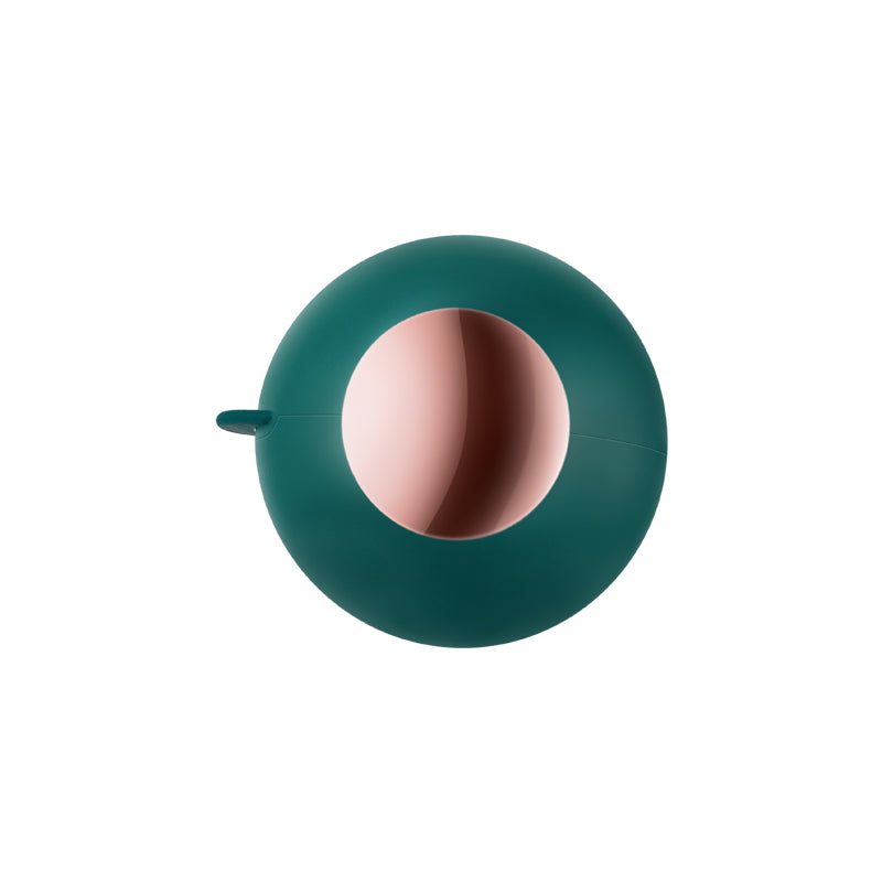 Rouleau ramasse-poils gel réutilisable
